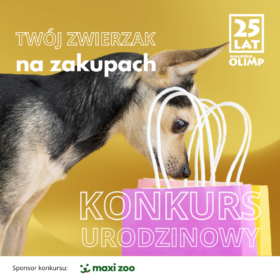 Grafika na konkurs dla piesków