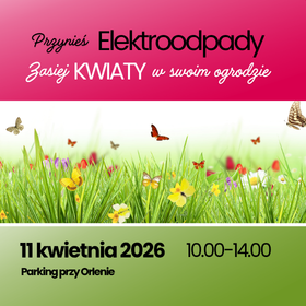 Zbiórka elektroodpadów